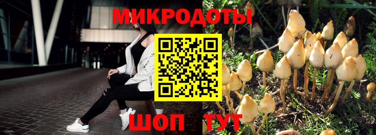 Псилоцибиновые грибы Cubensis  Вход с VPN  Избербаш 